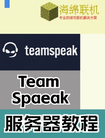 teamspeak3教程[完]-admin